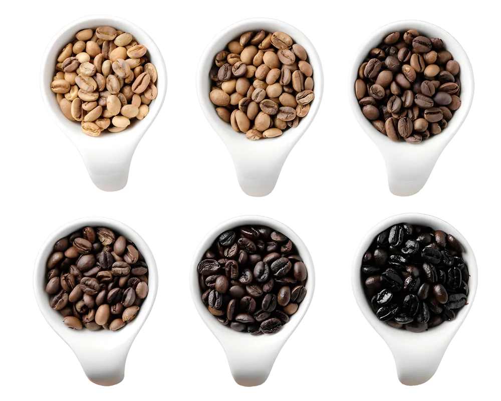 coffee%20bean